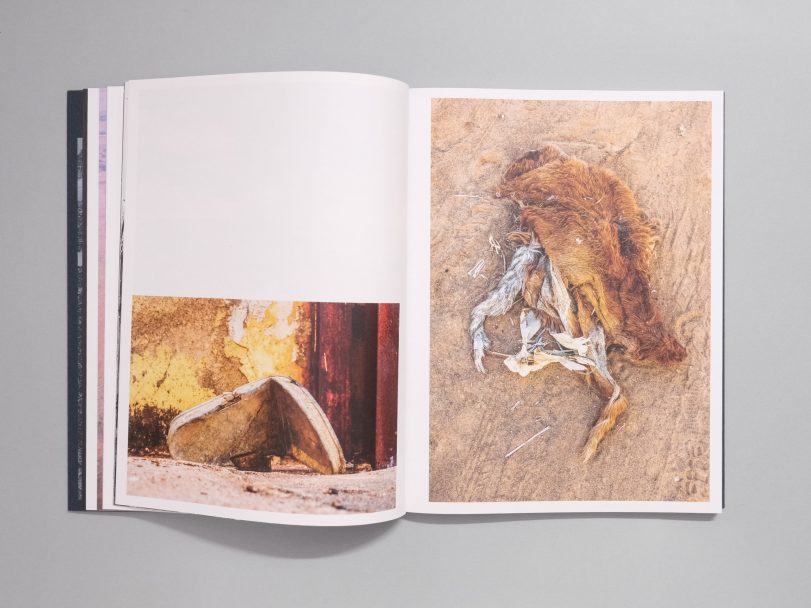 Hope-Walls-Cotton-Coddled_008