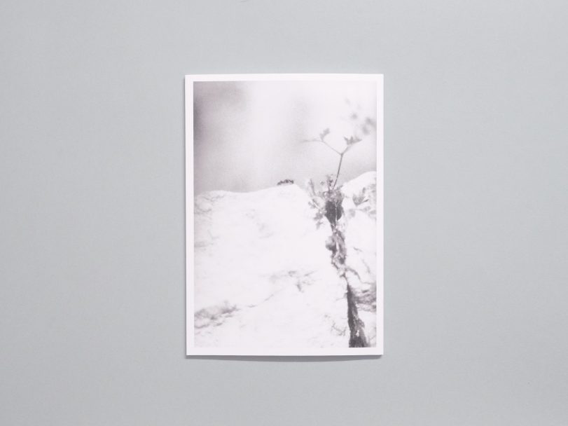 Moulin-des-ribes_003