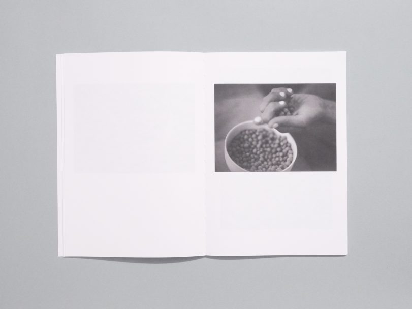 Moulin-des-ribes_007