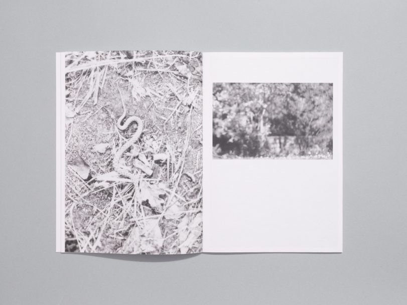 Moulin-des-ribes_008