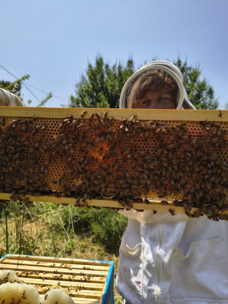 summer honey and beekeeper