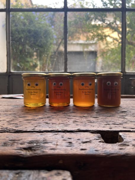 reflecting the territory