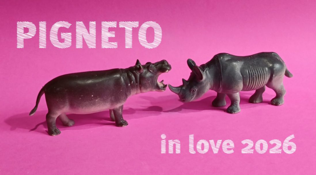 WhatsApp Image 2026-01-12 at 18.17.36