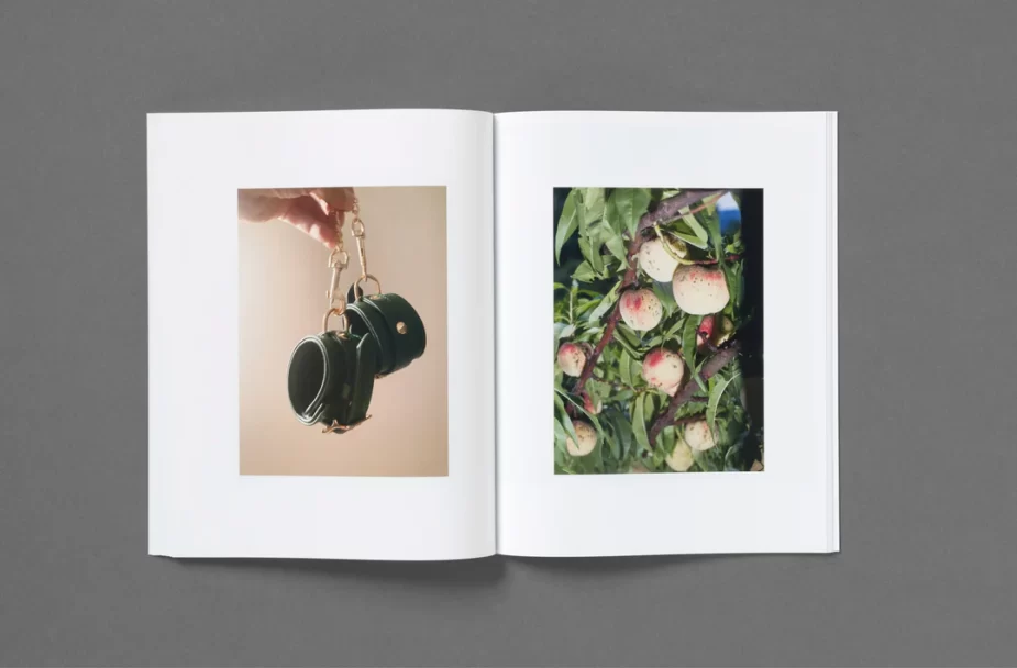 Roe_Ethridge_Rude_in_the_Good_Way_shots24_1080x1080