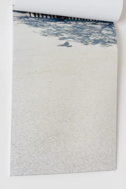 Pigeon_and_Puddle_Bjorn_Allemann_2025_05_1667x