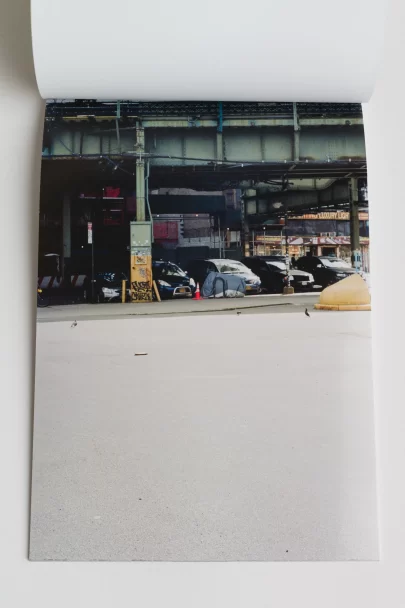 Pigeon_and_Puddle_Bjorn_Allemann_2025_06_1667x