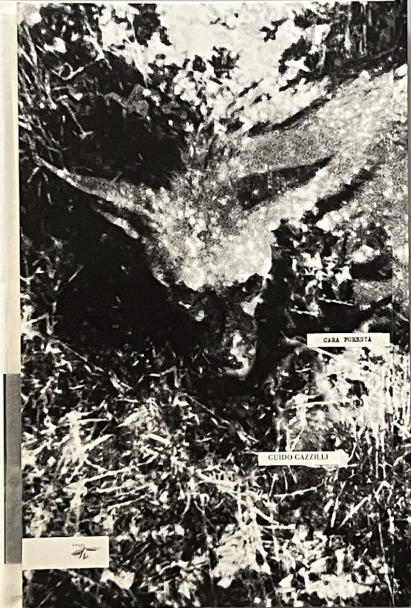 Screenshot 2026-03-13 alle 17.39.41