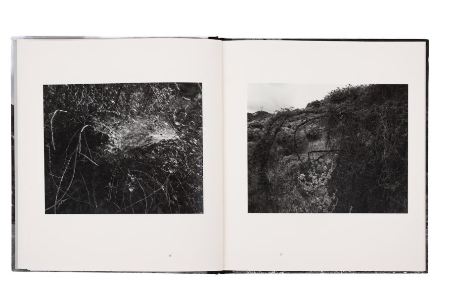 VanessaWinship-George-GeorgiouBookPunctum2