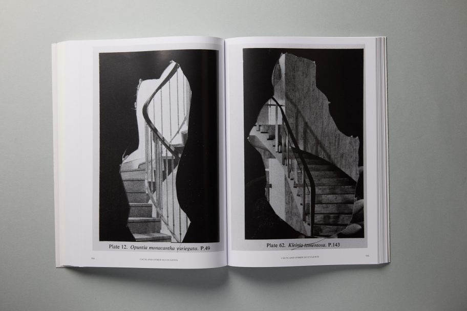 leonardo aquisizioni0098