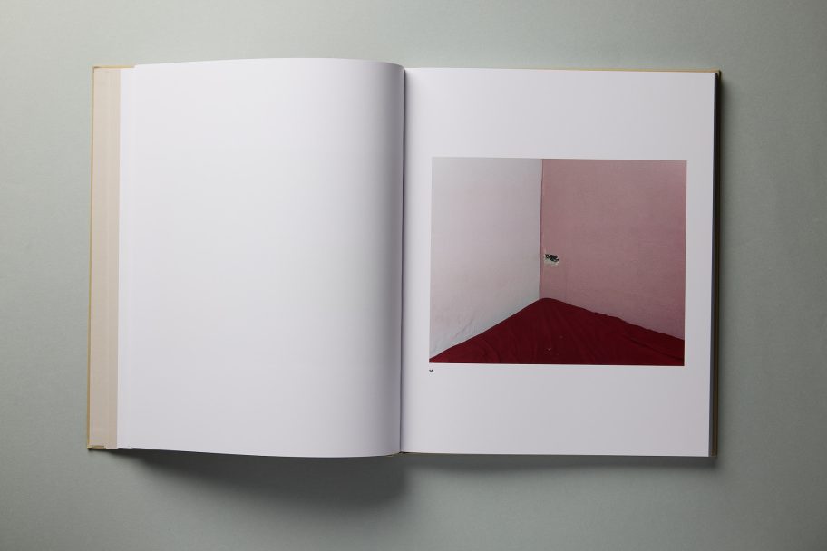 leonardo aquisizioni0108