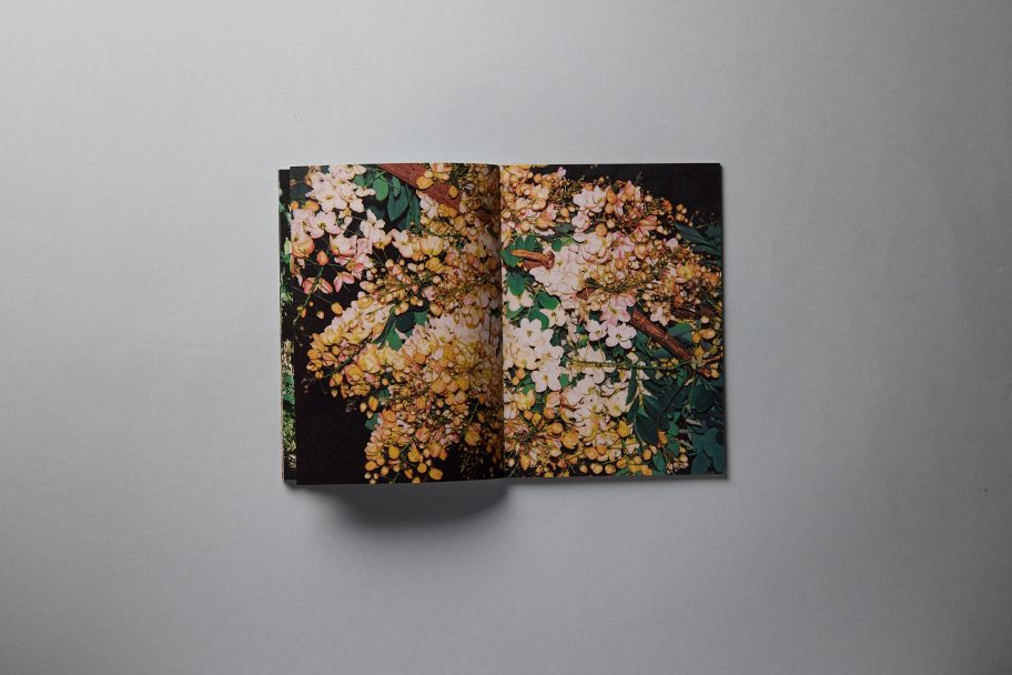 leonardo aquisizioni0193