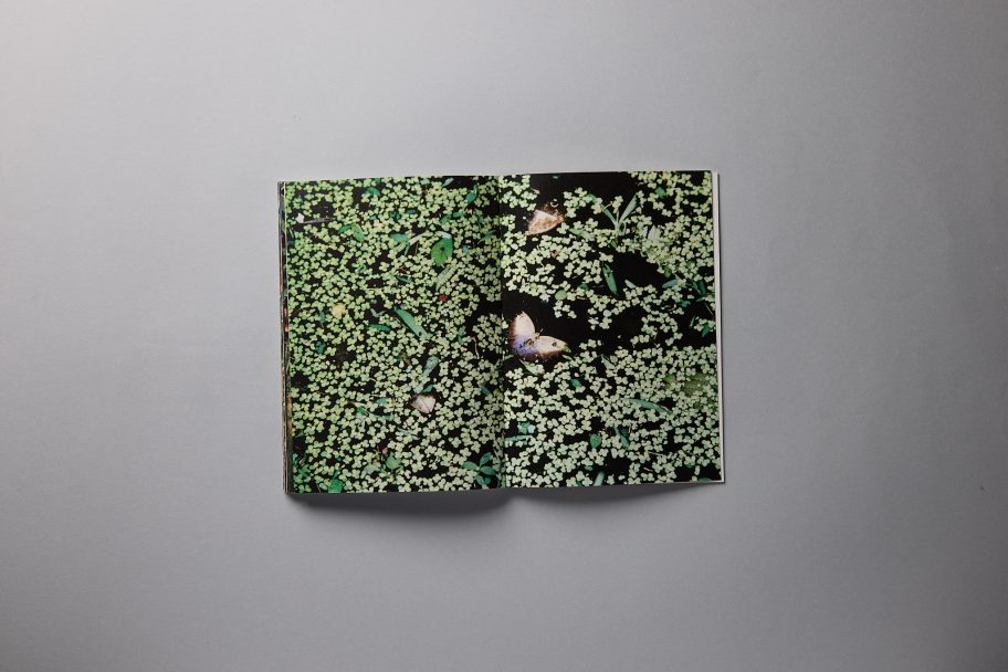 leonardo aquisizioni0196