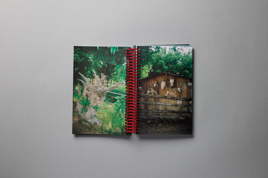 leonardo aquisizioni0205_1