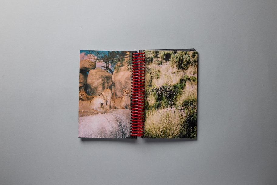 leonardo aquisizioni0208_1