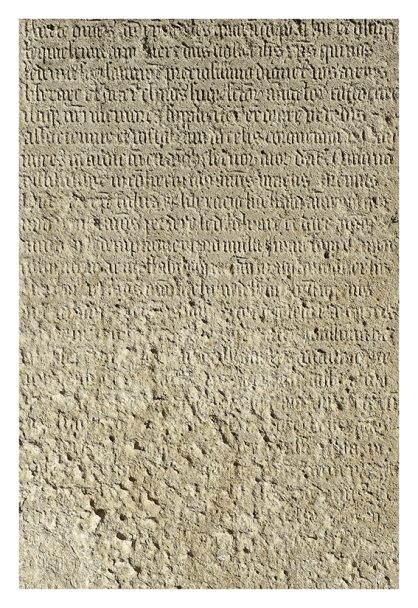 FHO 30 40 72 vllt DSC00883 LEOLAB Fuji