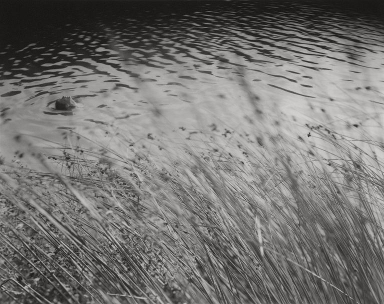009_tuscany