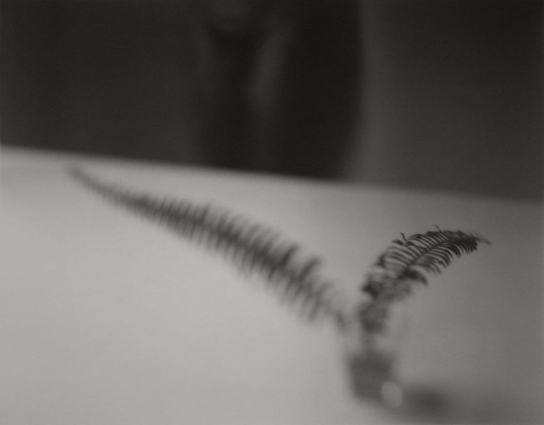 161_fr