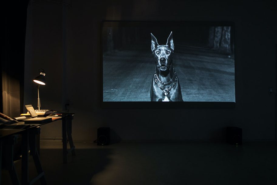 6.KS1_LINA SELANDER_@marc schroeder