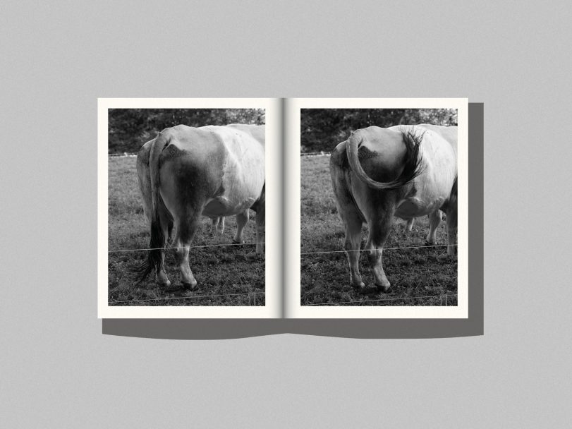 WEBSITE_SMALL_BOOK9