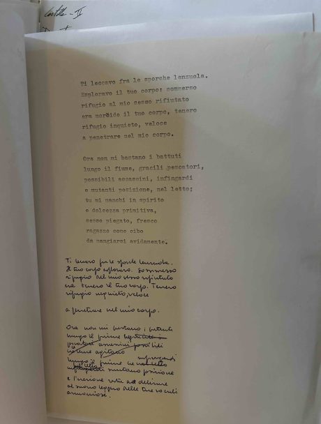 Ti leccavo fra le sporche lenzuola, Archivio di Dario Bellezza courtesy Giuseppe Garrera. copia