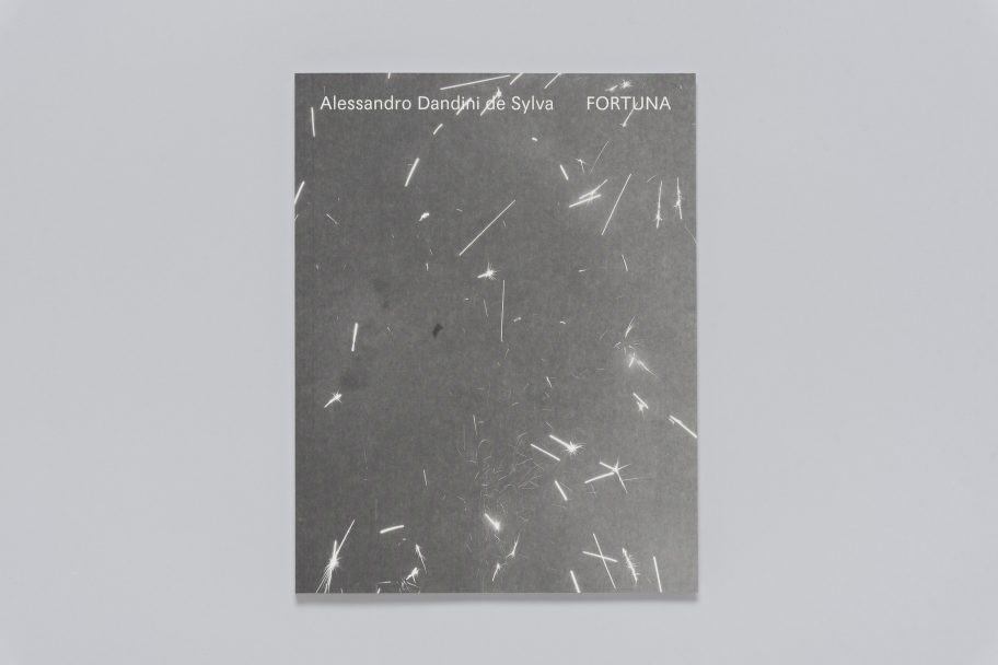 WEB_ANIENE_FORTUNA_ADandinideSylva_fotoECP4215